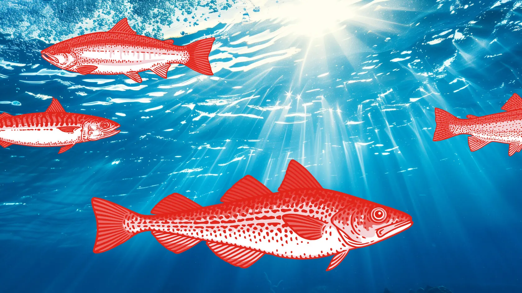 Wish Fish